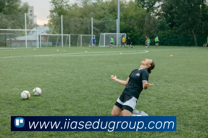 App Interface Preview